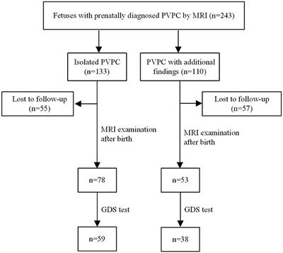 Evaluation of MRI Features and Neurodevelopmental Outcomes for Prenatally Diagnosed Periventricular Pseudocysts
